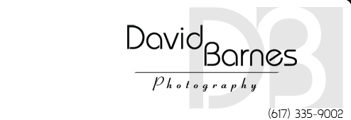 David Barne Photography